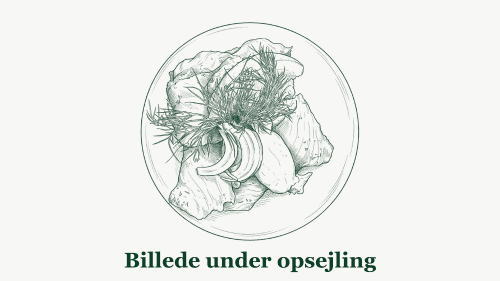 Billede under opsejling